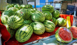 广西吃瓜爆料事件真相,揭秘背后真相与网络舆论的反思